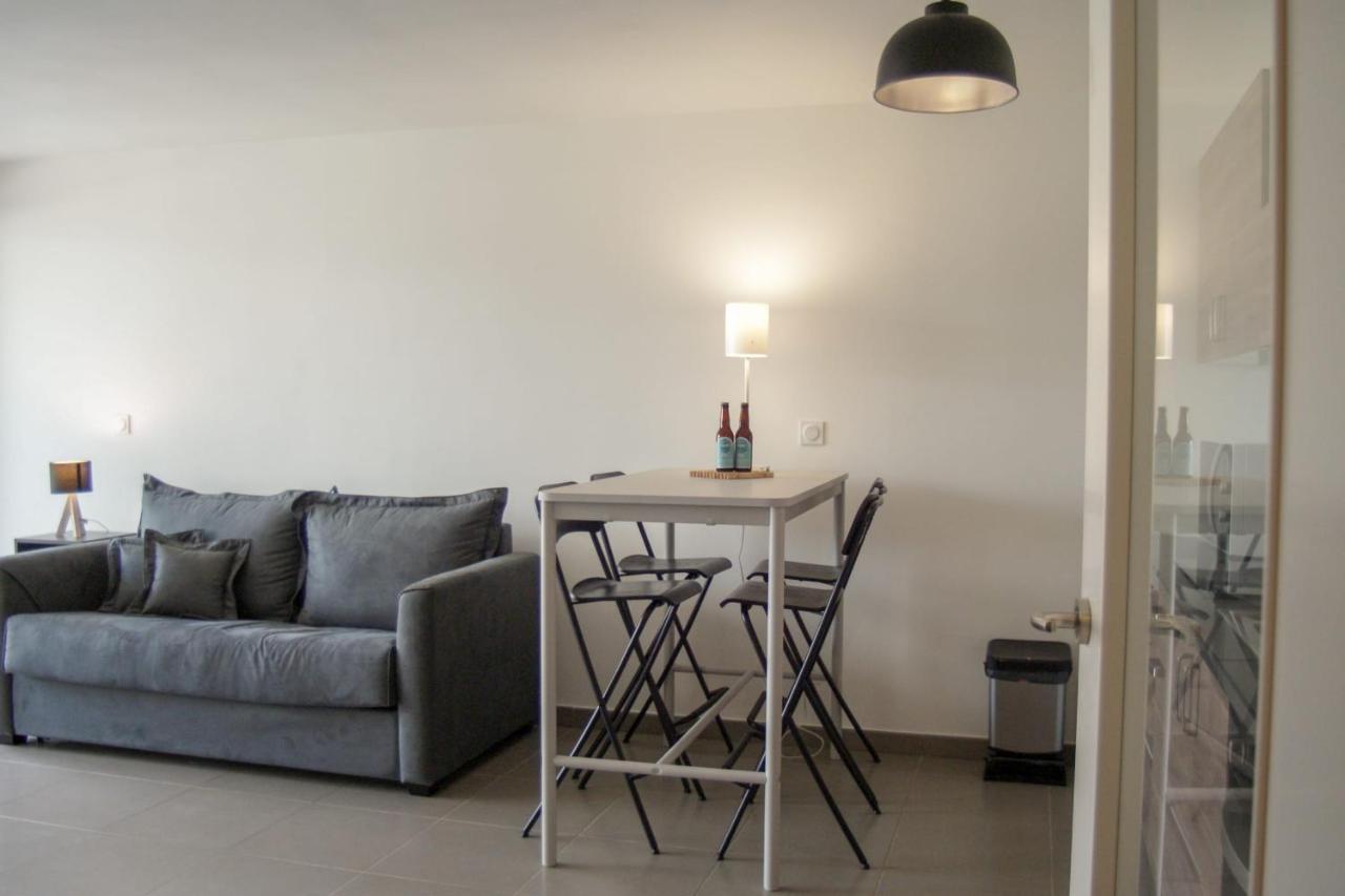 Villa Camilia - 2 Rooms Balcony Garage In Downtown Annecy Ngoại thất bức ảnh